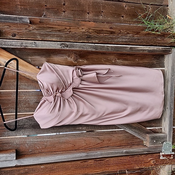 Pastore Couture Dresses & Skirts - Pastore Couture Mauve Dress, Sz 48Pastore Couture Mauve Dress, Sz 48 NWT